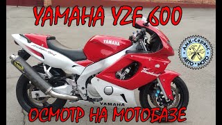видео: Oсмотр перед покупкой  Yamaha YZF600 Thundercat на мотобазе картинка: Oсмотр перед покупкой  Yamaha YZF600 Thundercat на мотобазе