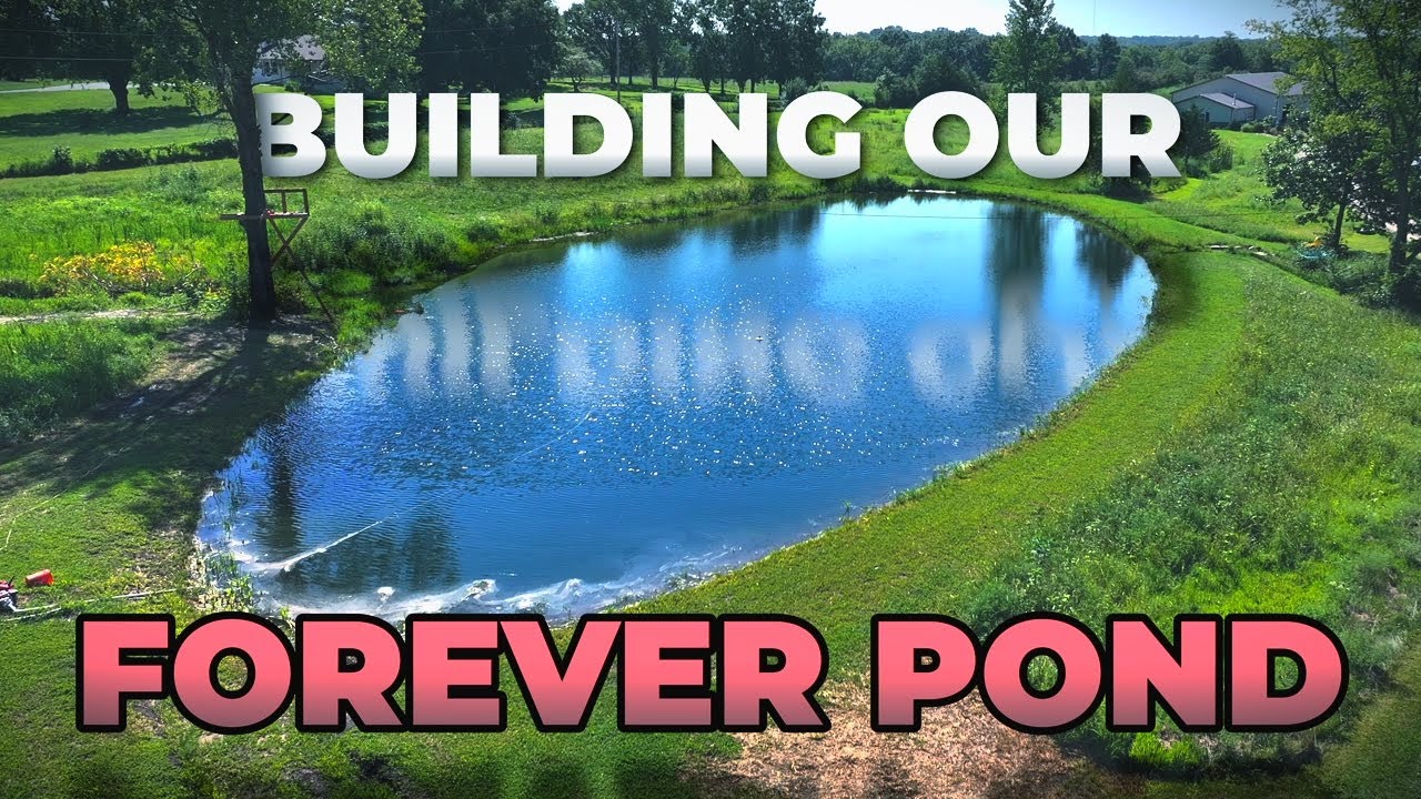 We Built a Forever Pond on our Property! -- Forever Pond Series - Part 1