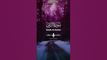 سورة الزمر #عمير_السائد #قران_كريم #تلاوة umairalsaed surah az zumar #quran
