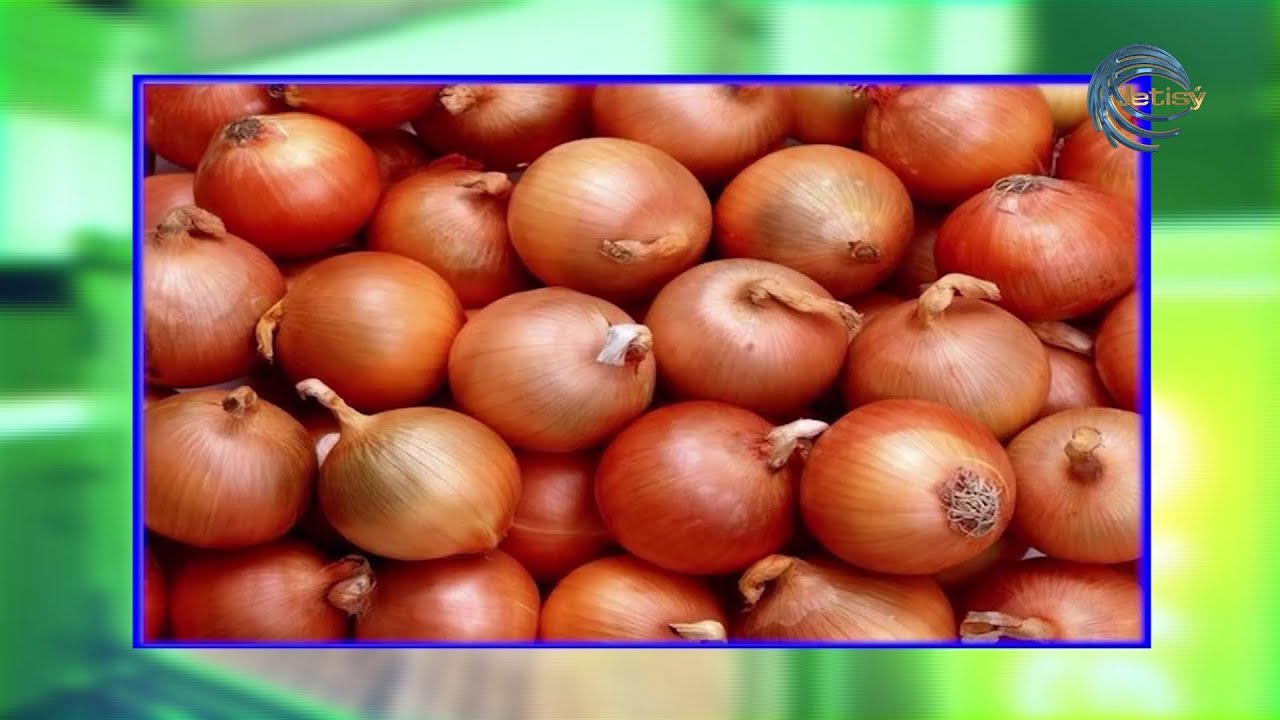 ШЕҢГЕЛДІНІҢ БРЕНДІ. ОТАНДЫҚ ПИЯЗ ШАРУАШЫЛЫҒЫНЫҢ ДАМУЫНА НЕ КЕДЕРГІ? AGROLIFE / 24.06.22