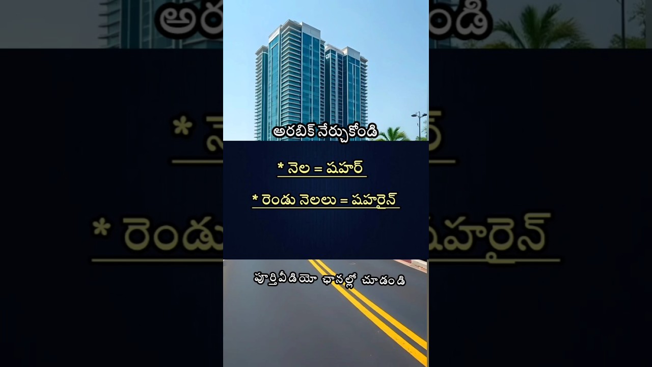 అరబీలో ప్రతిరోజు ఉపయోగపడే పదాలు | Daily Use Arabic Words | Kuwait Dialect | Learn Arabic words📚🇦🇪