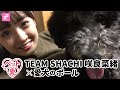 【ペット愛】咲良菜緒(TEAM SHACHI)× 愛犬のポール