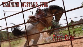 Training Mustang Jude | FIRST RIDE