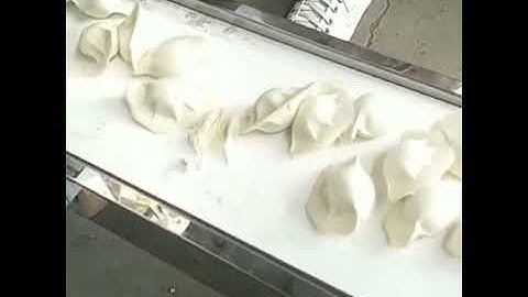 Hand Imitation dumpling machine, dumpling making machine, automatic dumpling make machines