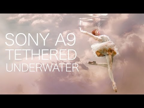 Sony Alpha Universe Underwater