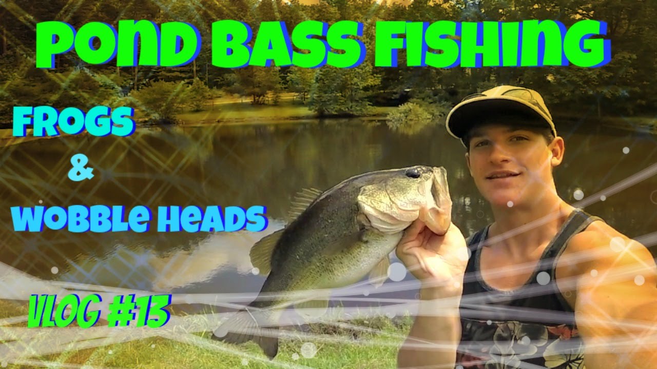 Pond Bass Fishing Tips Topwater Frogs & Wobble Heads Vlog 13 YouTube