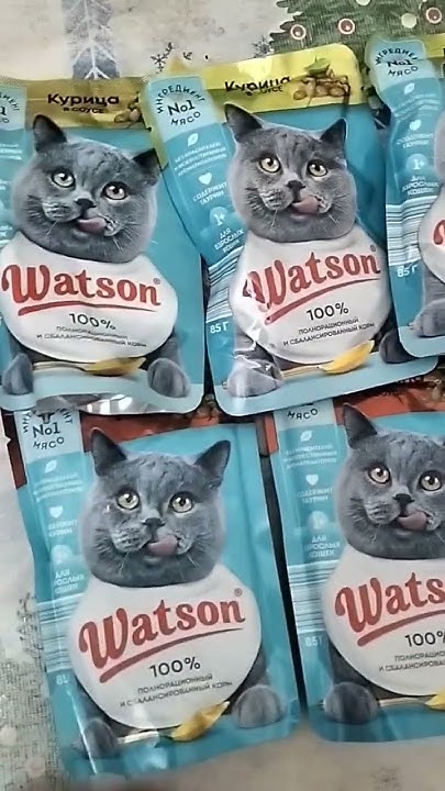 Чижик, Корм для кошек "WATSON" говядина в соусе 85гр - YouTube