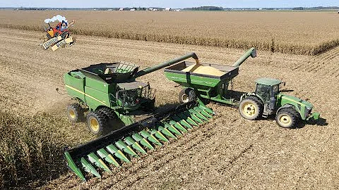 High Moisture Corn Harvest near Ruth Michigan