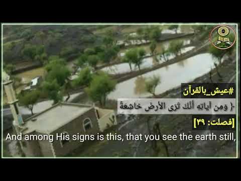 ومن آياته أنك ترى الأرض خاشعة حالات دينية آيات قرآن كريم سورة فصلت