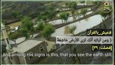 ومن آياته أنك ترى الأرض خاشعة حالات دينية آيات قرآن كريم سورة فصلت