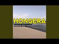 Hongera