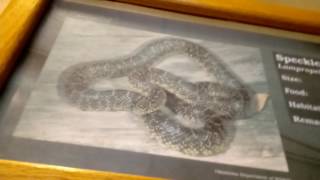 At the nature center!!