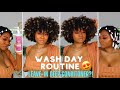 Leave-In Deep Conditioner!? | SUPER FAST Defined + Moisturized Curls Wash Day Routine | Natural Hair