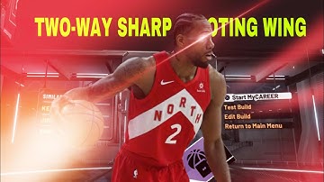 KAWHI LEONARD BUILD IN 2K20! The Best Kawhi Leonard Built You Can Make!