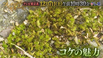 ブレイクスルー ～不屈なる開拓者～　予告