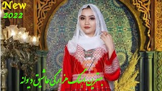 اهنگ هزارگی جدید2022 عاشق دیوانه باصدای حسین نوروزی new song hazaragi malistani