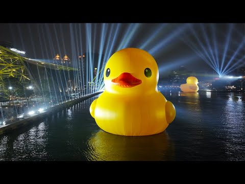 這一分鐘，怎麼這麼可愛鴨？  ｜2024高雄燈會冬日遊樂園｜#黃色小鴨 