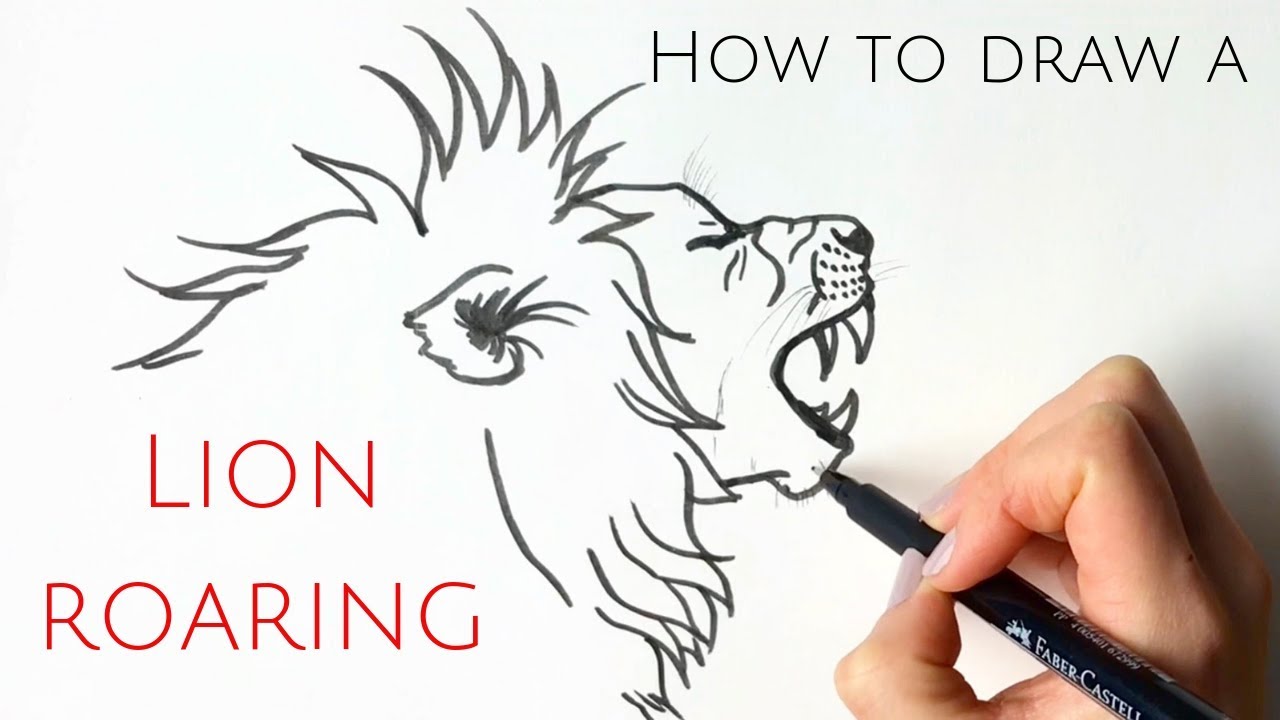 How to draw a lion roaring for beginners - YouTube