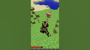 WEIRDEST thing about Minecraft INFDEV!!