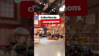 Collection de champignons⎮Affaire Conclue #affaireconclue #francetelevisions #art