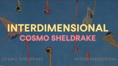 Interdimensional - Cosmo Sheldrake / Subtitulos Esp & Lyrics