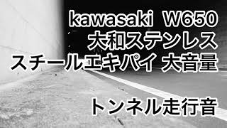 w650】大和ステンレス大音量でトンネル走ったら最高にいい音だった