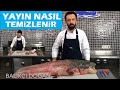 Yayın balığı nasıl temizlenir How to clean giant Catfish ( BALIK TEMİZLEME , BALIK PİŞİRME)