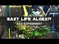 EASY-LIFE ALGEXIT / DAS EXPERIMENT / ZWECKENTFREMDUNG