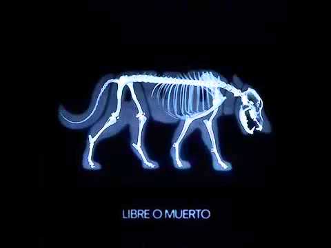 El Poder Nuestro Es Video