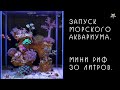 Морской аквариум. Мини риф 30 литров. Запуск.