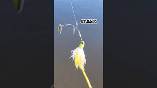 Spinnerbait X Crazy Rabbit from charliesfishing.com #lures #lurefishing #handmadelure #fishing
