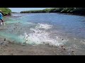 Gran pesca de lisas macho 