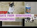 HOW TO STOP CATS FROM SCRATCHING  FURNITURE? - CATSPURRATION