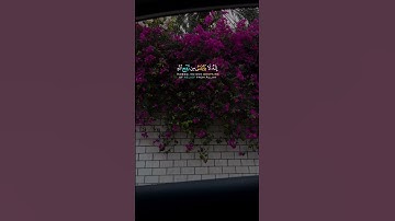 ﴿وَلَا تَيْأَسُوا مِن رَّوْحِ اللَّهِ﴾ القارئ خالد الجليل 🫀🤍