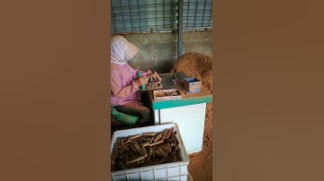 spindle moulder video