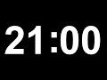 21 Minute Timer