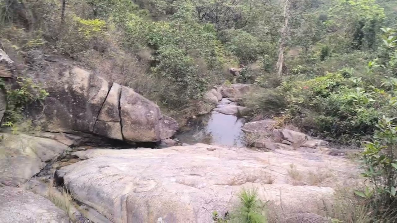 2026年1月20日  虎地下村  301山頂   丹桂坑   將軍勒馬脊  遊隼石   黃泥墩水塘  仙人騎象脊   元朗大棠🚶🏻‍♂️🚶🏻‍♀️🚶🏼🚶‍♀️🚶🏻‍♂️🚶‍♀️🚶🏼🚶🏻‍♂️