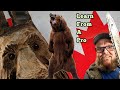 How to Chainsaw Carve a bear like a pro from a pro and Woodspirits of course.