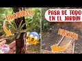 Encontré ORQUÍDEAS EN LA CALLE y así quedó EL RINCÓN DE LA HUERTA │Candy Bu