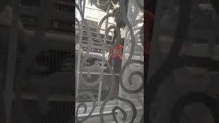 Muhammed Ali. Benden Ona Kizmamam Için Yemin Istiyor. - 1