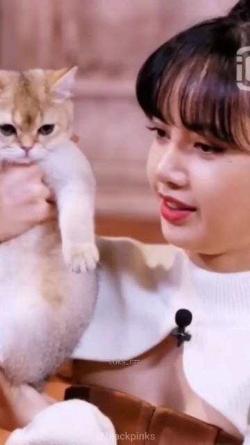 Lisa's cat being savage like yoongi😂. #blackpink #rose #lisa #lego # ...