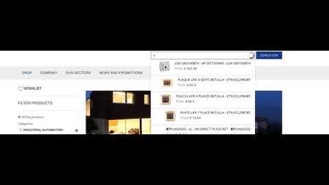 Setup Yith Woocommerce Ajax Search with Elasticsearch (2/2) (WPSOLR plugin)