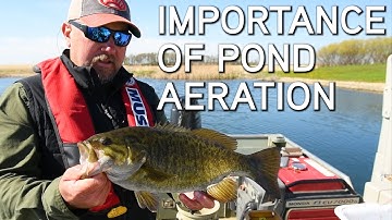 Pond Management | Pond Aeration For Better Habitat And Fish Growth