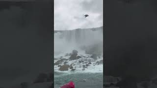 Niagara Falls 2