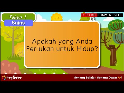 Video: Apa Yang Anda Perlukan Untuk Hidup Dan Dinikmati