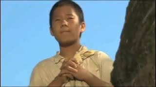 🌳 Sad love story of a mountain boy ❤  -  산골 소년 👦