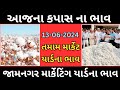 kapas na bhav | 13-06-2022 | કપાસનાં ભાવ:2024 | information about cotton crop price