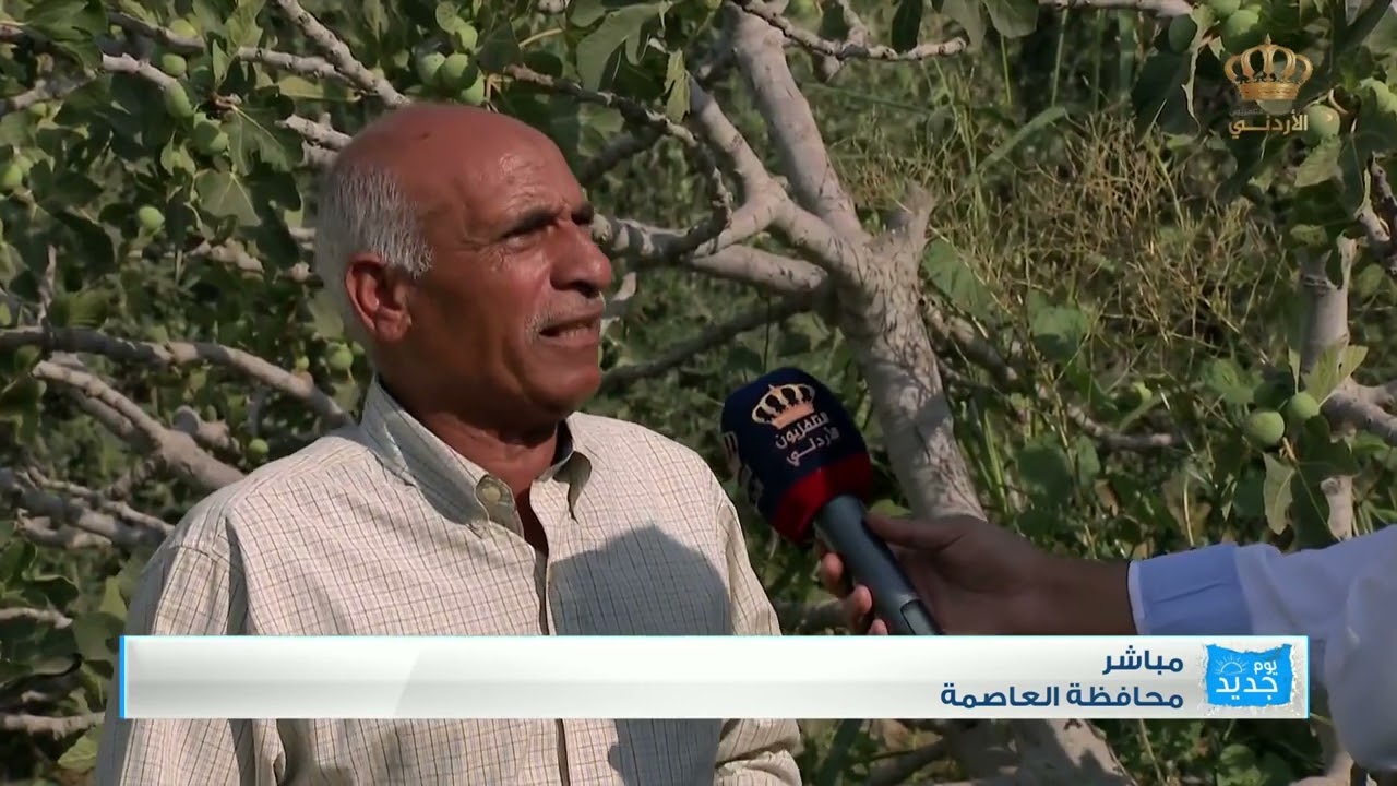يوم جديد | جولة في منطقة عراق الأمير وحديث عن موسم التين