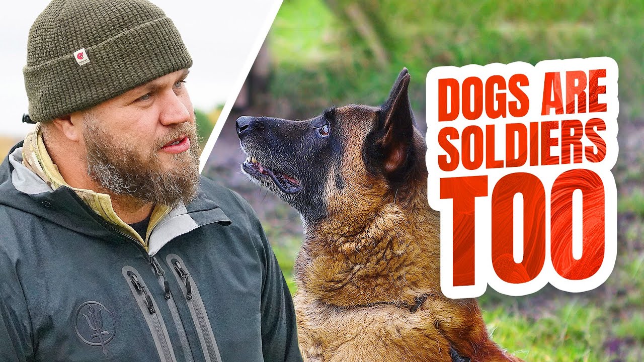 Inside The Charity That s SAVING Veteran Service Dogs YouTube Inside the charity that s saving veteran service dogs youtube