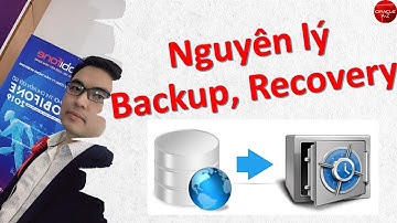 Nguyên lý sao lưu và phục hồi Cơ sở dữ liệu - Các loại lỗi (12.2) | Oracle Database Tutorial